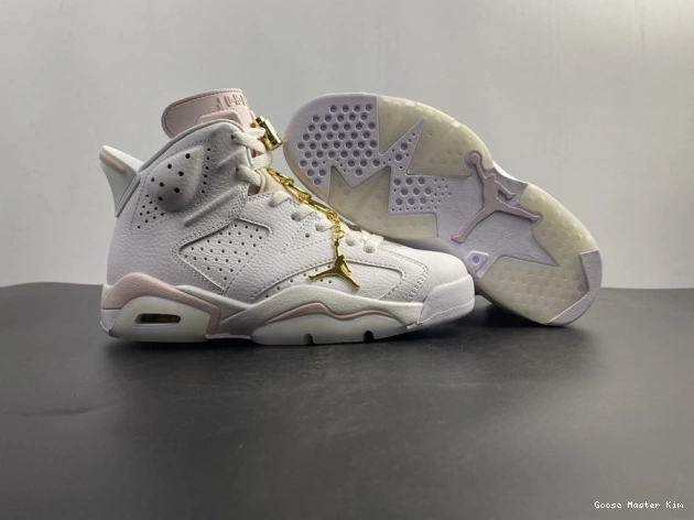 Hoops 6 (W) DH9696-100 Retro Air Jordan Gold 0803